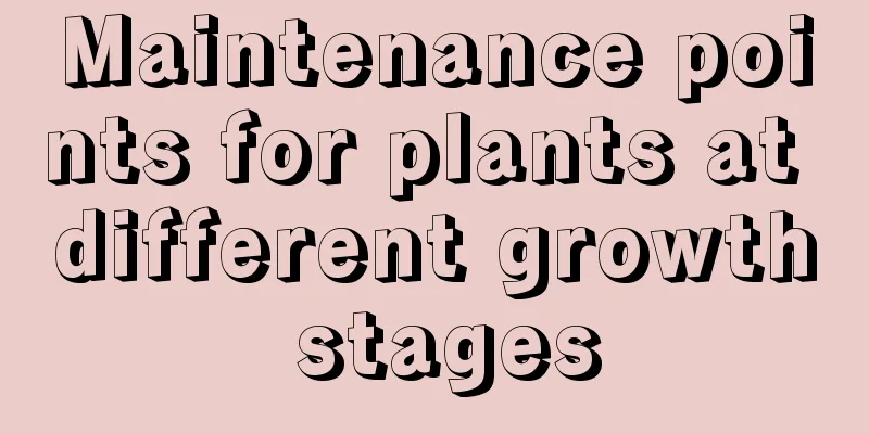 Maintenance points for plants at different growth stages