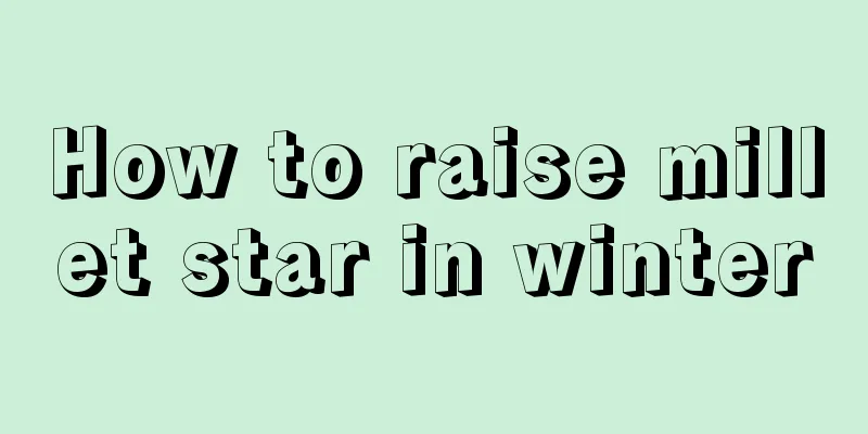 How to raise millet star in winter