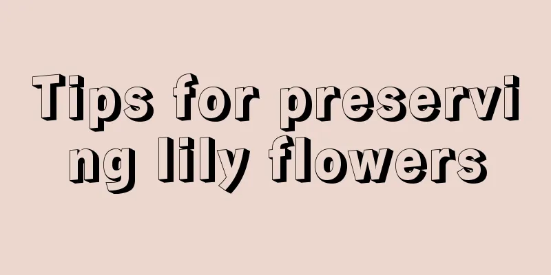 Tips for preserving lily flowers