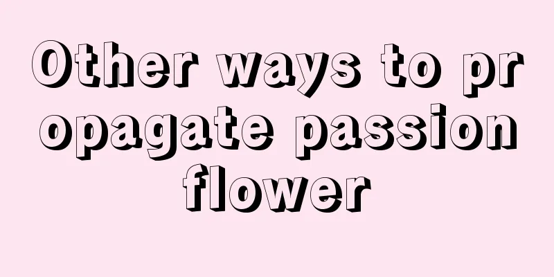 Other ways to propagate passionflower