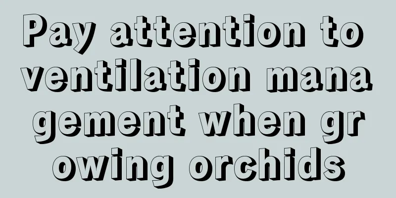 Pay attention to ventilation management when growing orchids