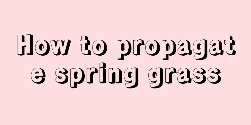 How to propagate spring grass