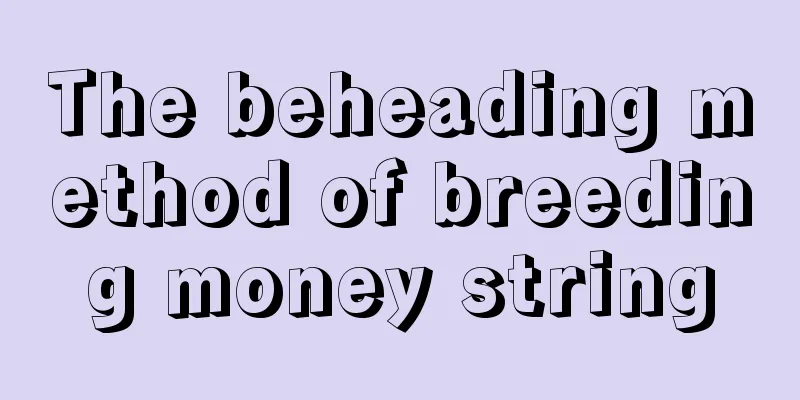 The beheading method of breeding money string