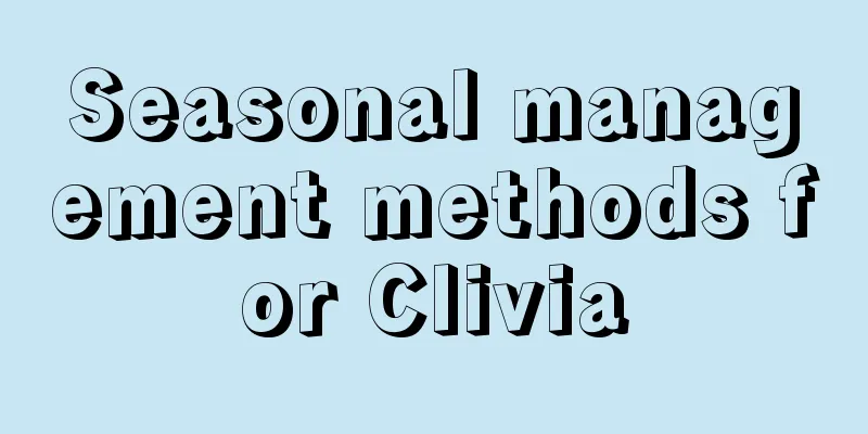 Seasonal management methods for Clivia