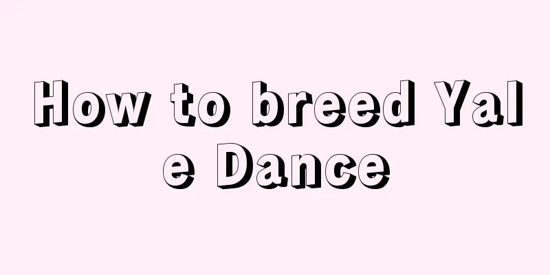 How to breed Yale Dance