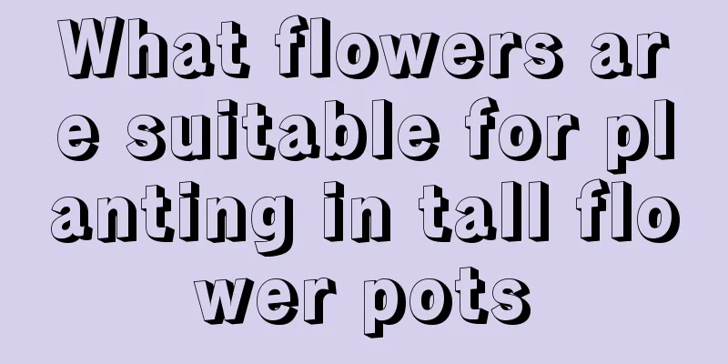 What flowers are suitable for planting in tall flower pots