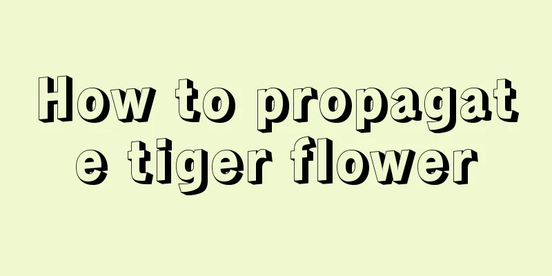 How to propagate tiger flower