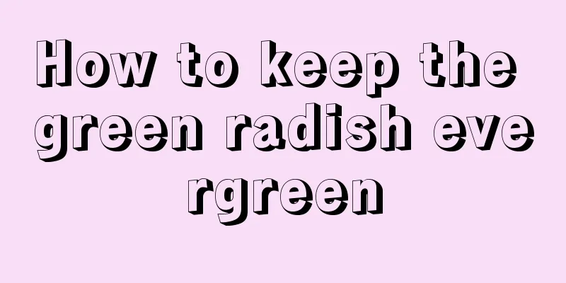 How to keep the green radish evergreen