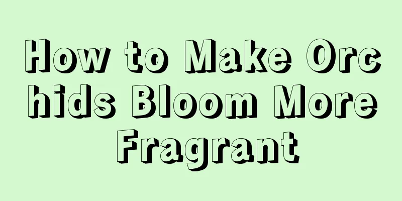 How to Make Orchids Bloom More Fragrant