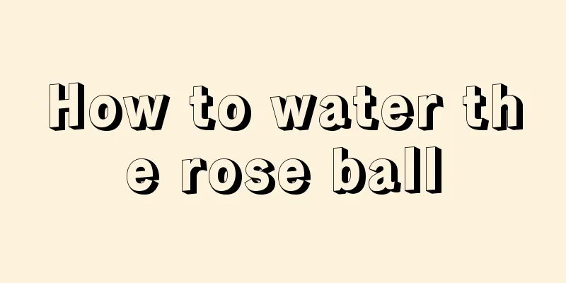 How to water the rose ball