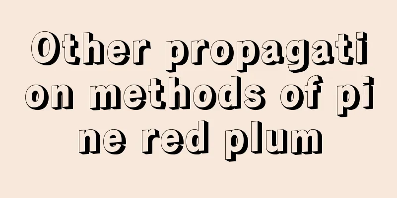 Other propagation methods of pine red plum