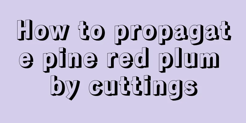 How to propagate pine red plum by cuttings