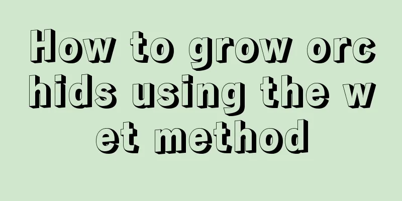 How to grow orchids using the wet method