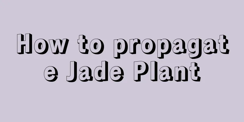 How to propagate Jade Plant