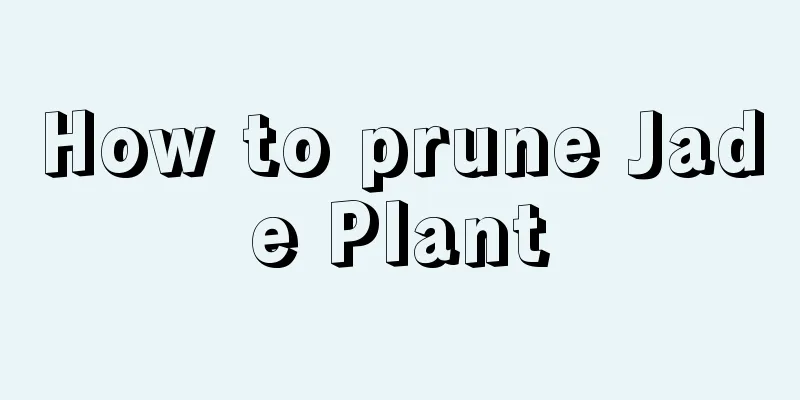 How to prune Jade Plant