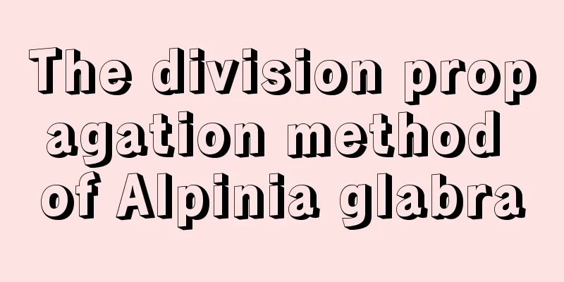 The division propagation method of Alpinia glabra