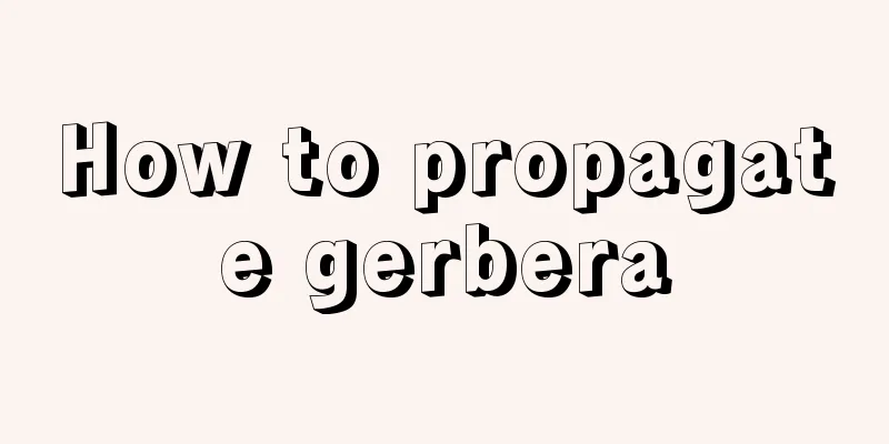 How to propagate gerbera