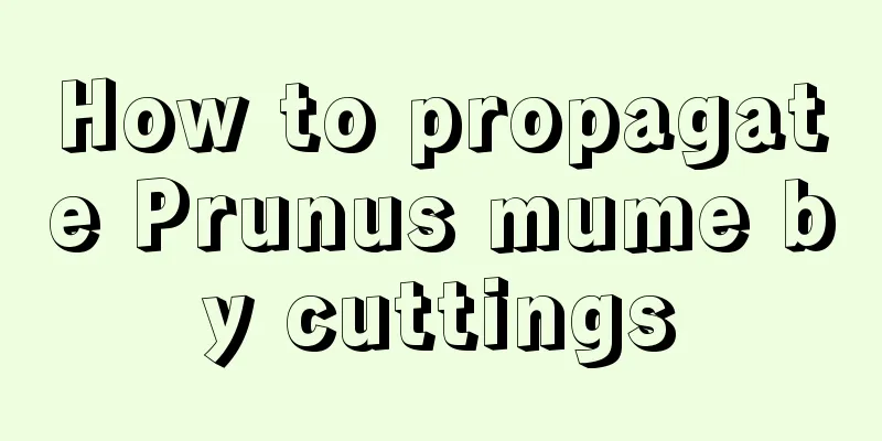 How to propagate Prunus mume by cuttings