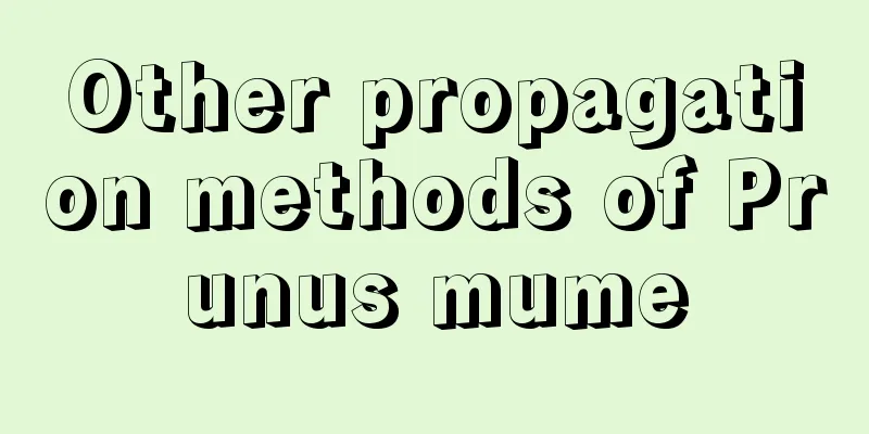 Other propagation methods of Prunus mume