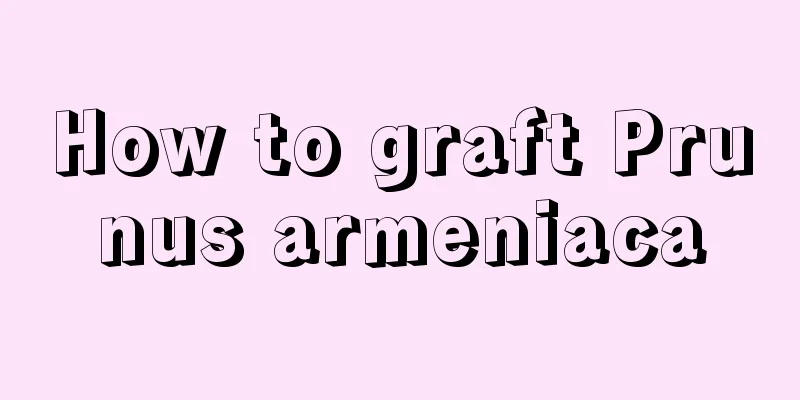 How to graft Prunus armeniaca