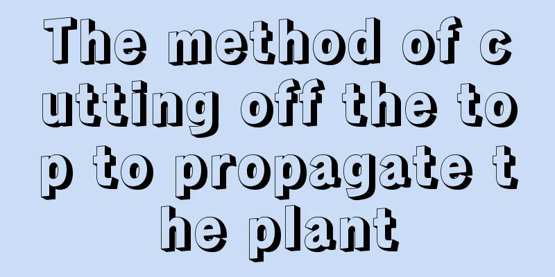 The method of cutting off the top to propagate the plant