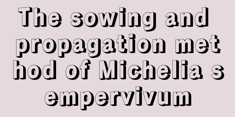 The sowing and propagation method of Michelia sempervivum