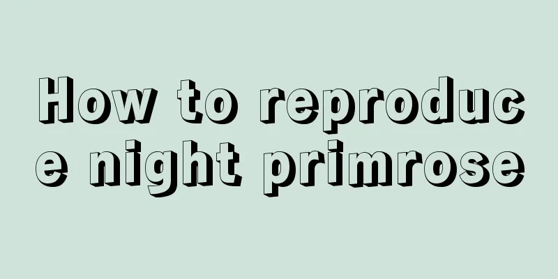 How to reproduce night primrose