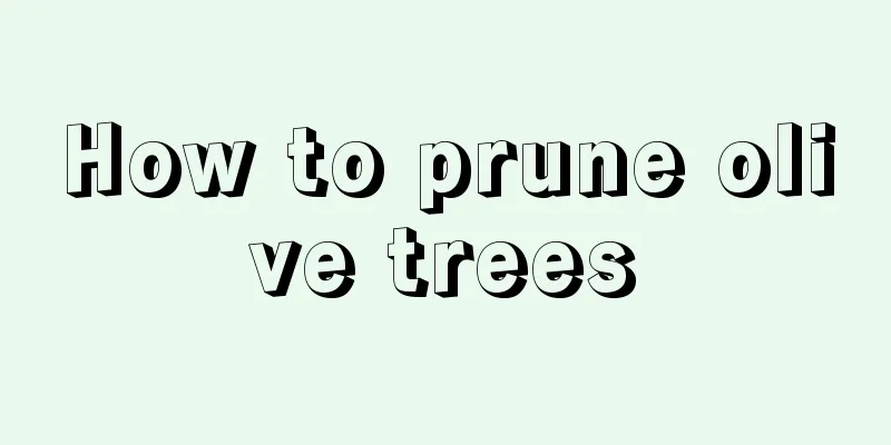 How to prune olive trees