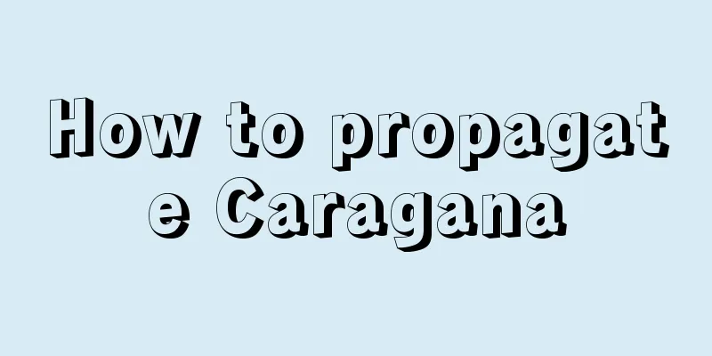 How to propagate Caragana