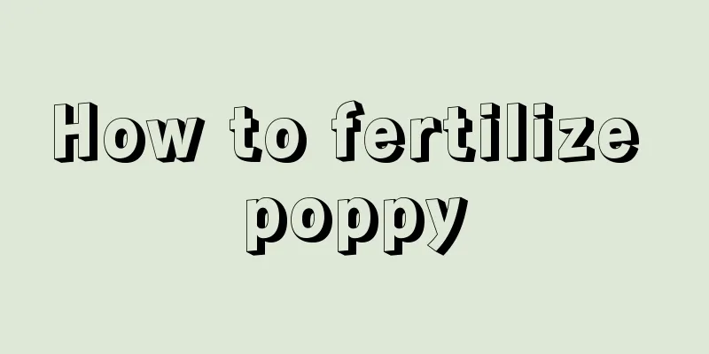 How to fertilize poppy