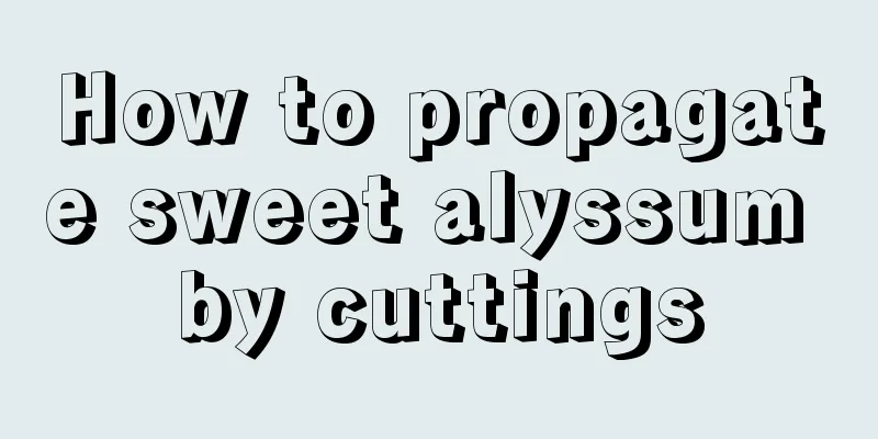 How to propagate sweet alyssum by cuttings