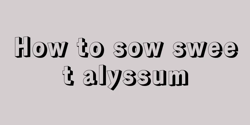 How to sow sweet alyssum