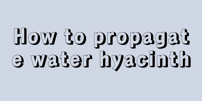 How to propagate water hyacinth