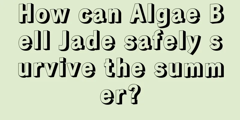 How can Algae Bell Jade safely survive the summer?