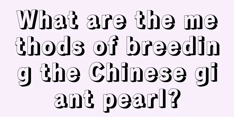 What are the methods of breeding the Chinese giant pearl?