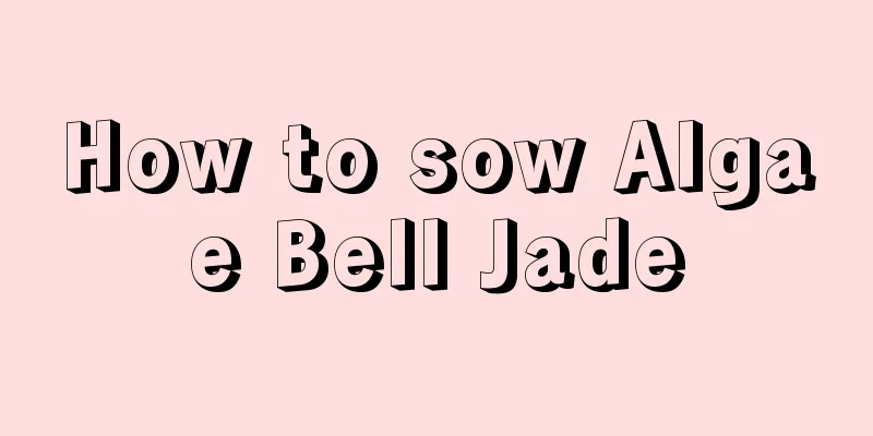 How to sow Algae Bell Jade