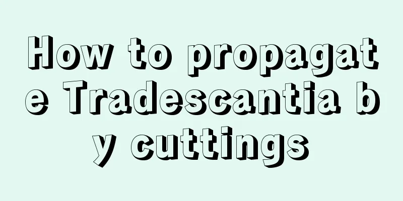 How to propagate Tradescantia by cuttings