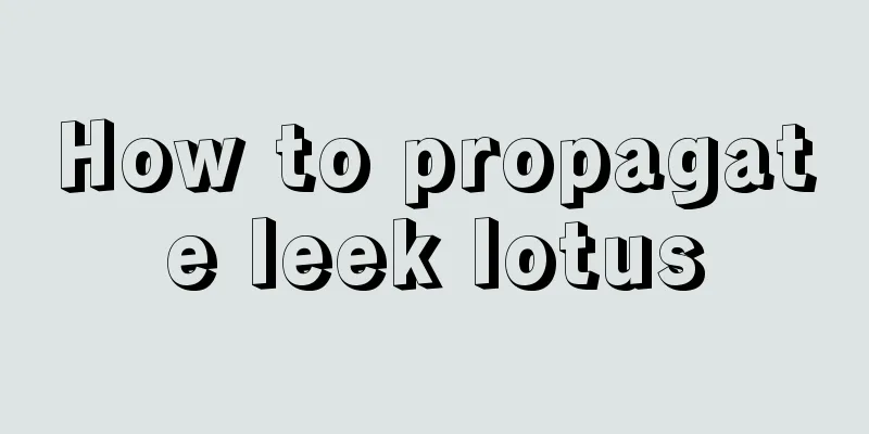 How to propagate leek lotus