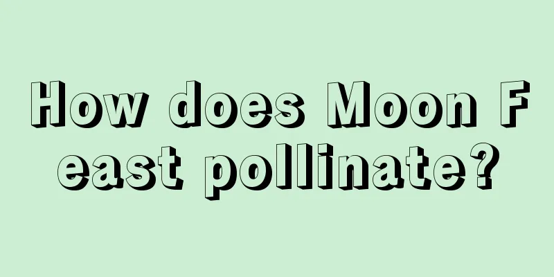 How does Moon Feast pollinate?