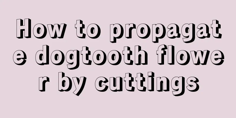 How to propagate dogtooth flower by cuttings