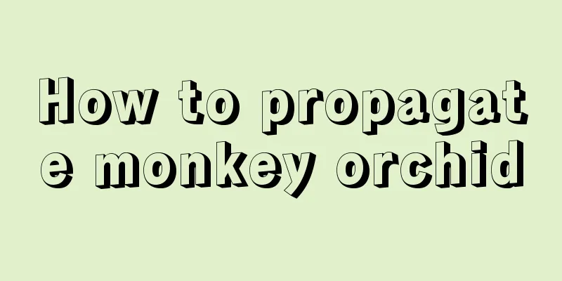 How to propagate monkey orchid