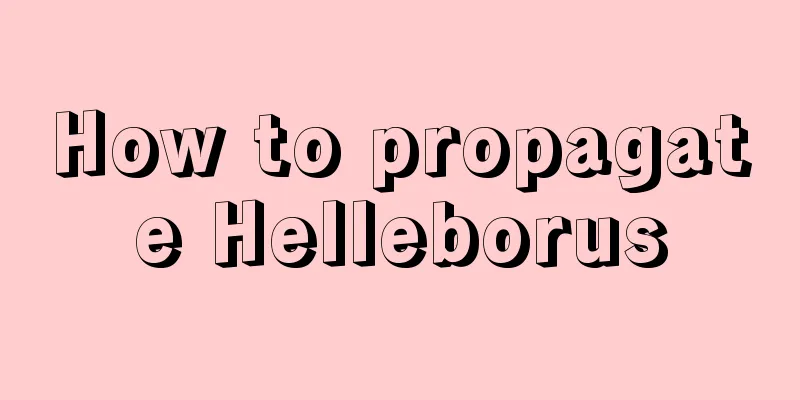 How to propagate Helleborus