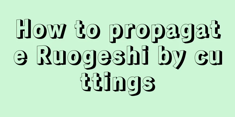 How to propagate Ruogeshi by cuttings