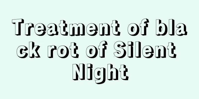 Treatment of black rot of Silent Night