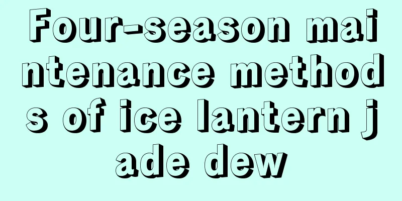 Four-season maintenance methods of ice lantern jade dew