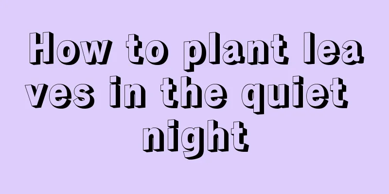 How to plant leaves in the quiet night