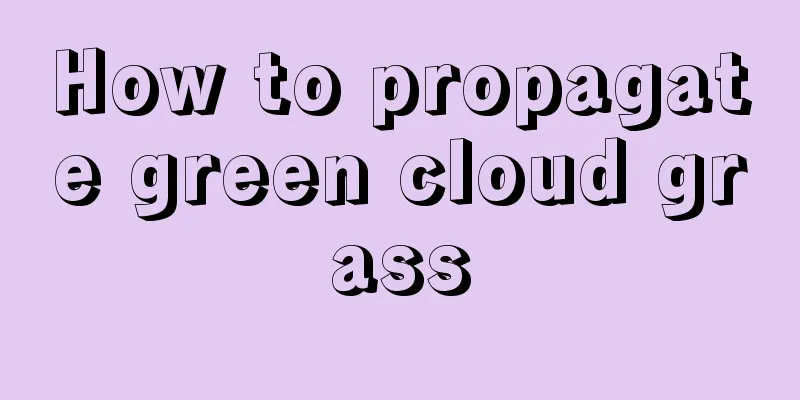 How to propagate green cloud grass