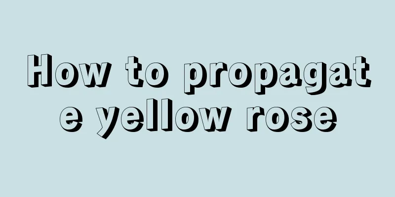 How to propagate yellow rose