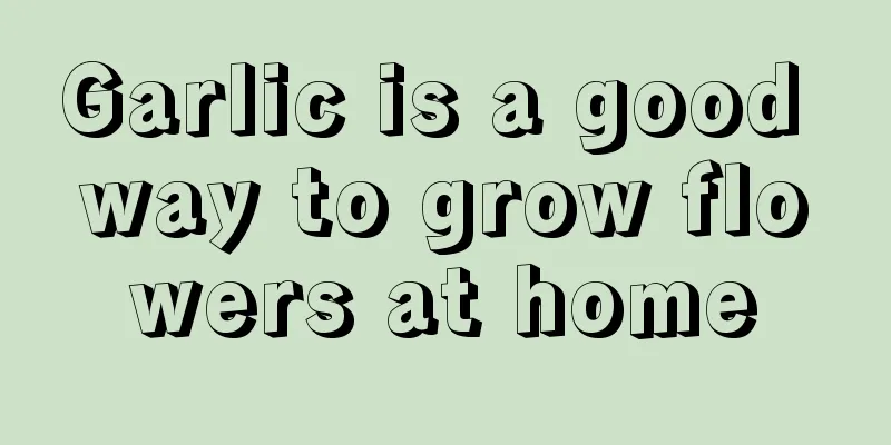 Garlic is a good way to grow flowers at home