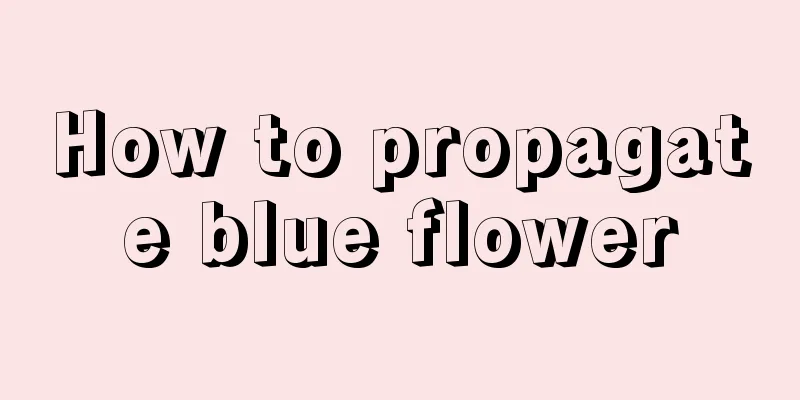 How to propagate blue flower